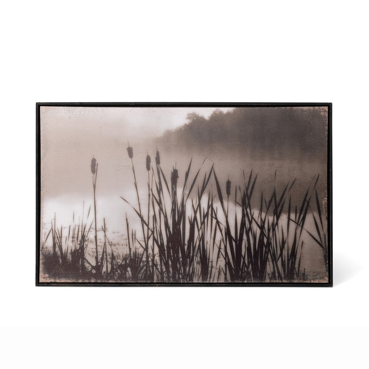 Framed Cattail Print style shot 1