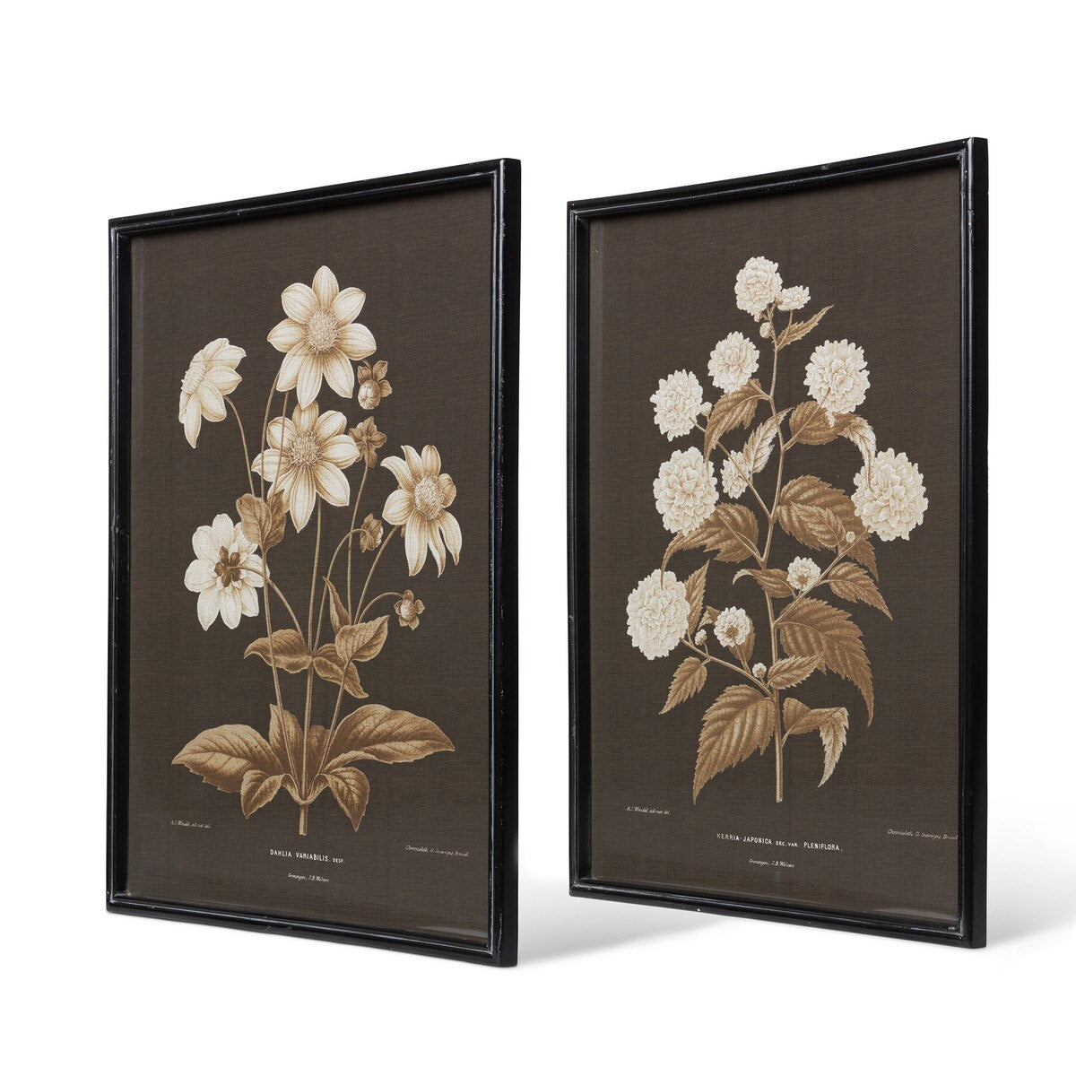 Garden Floral Botanical Framed Print style shot 2