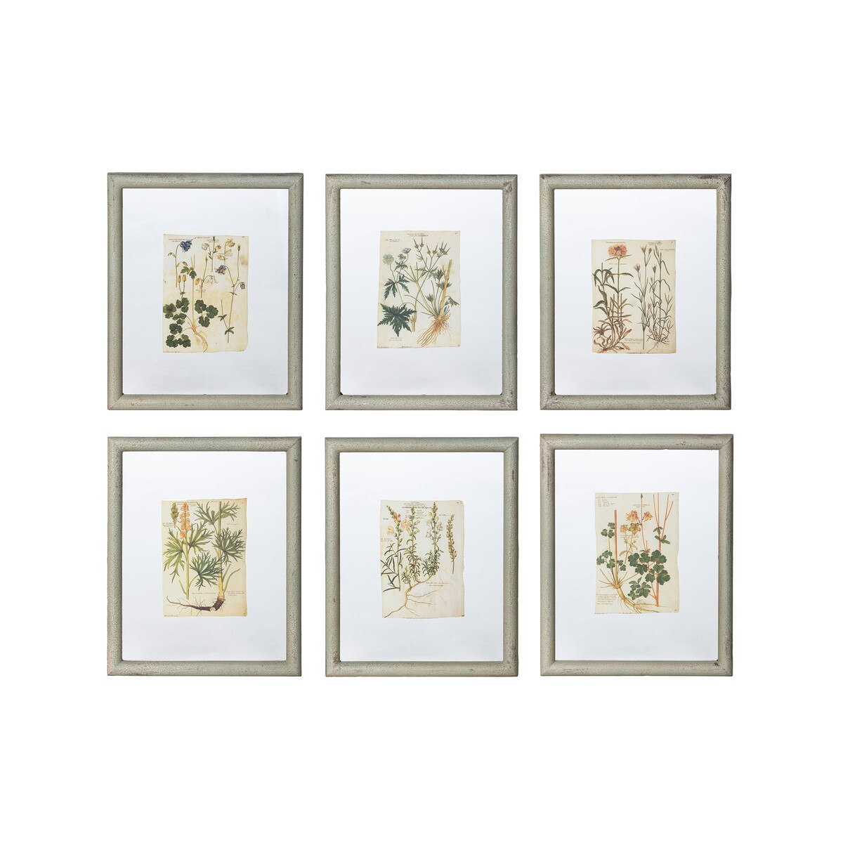 Floating Framed Botanical Prints, 6 Assorted Styles style shot 1
