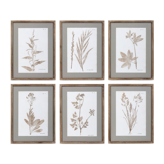 Framed Botanical Print, 6 Assorted Styles style shot 1