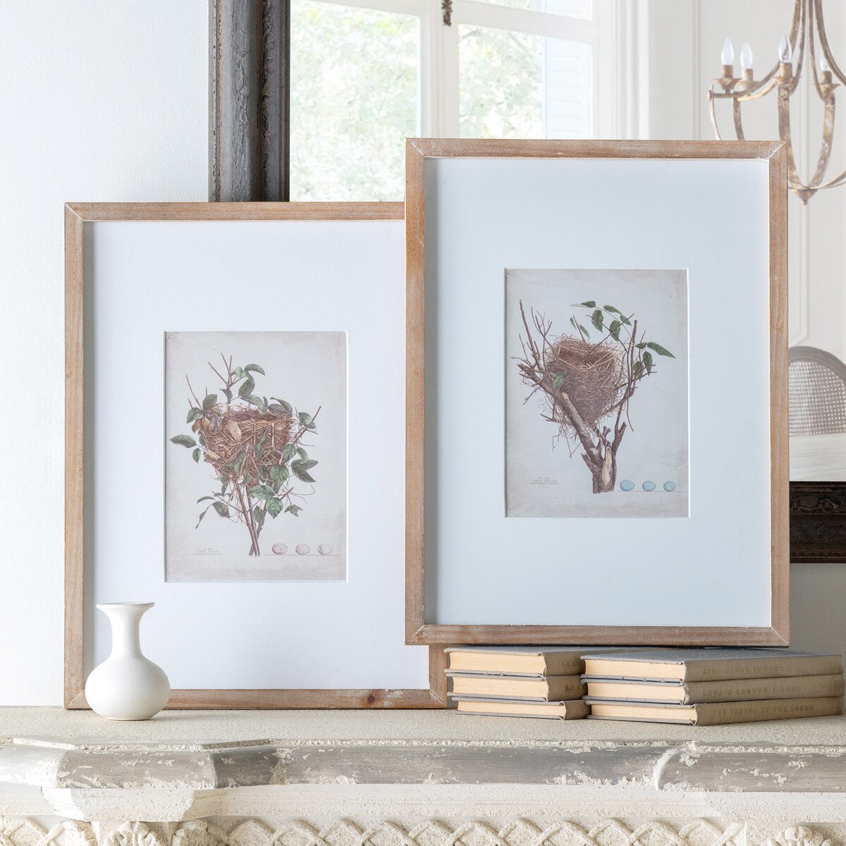 Feathered Nest Framed Print, 2 Assorted Styles style shot 1