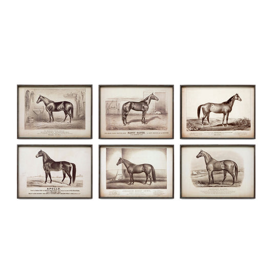 Prized Race Horse Framed Prints, 6 Assorted Styles style shot 1