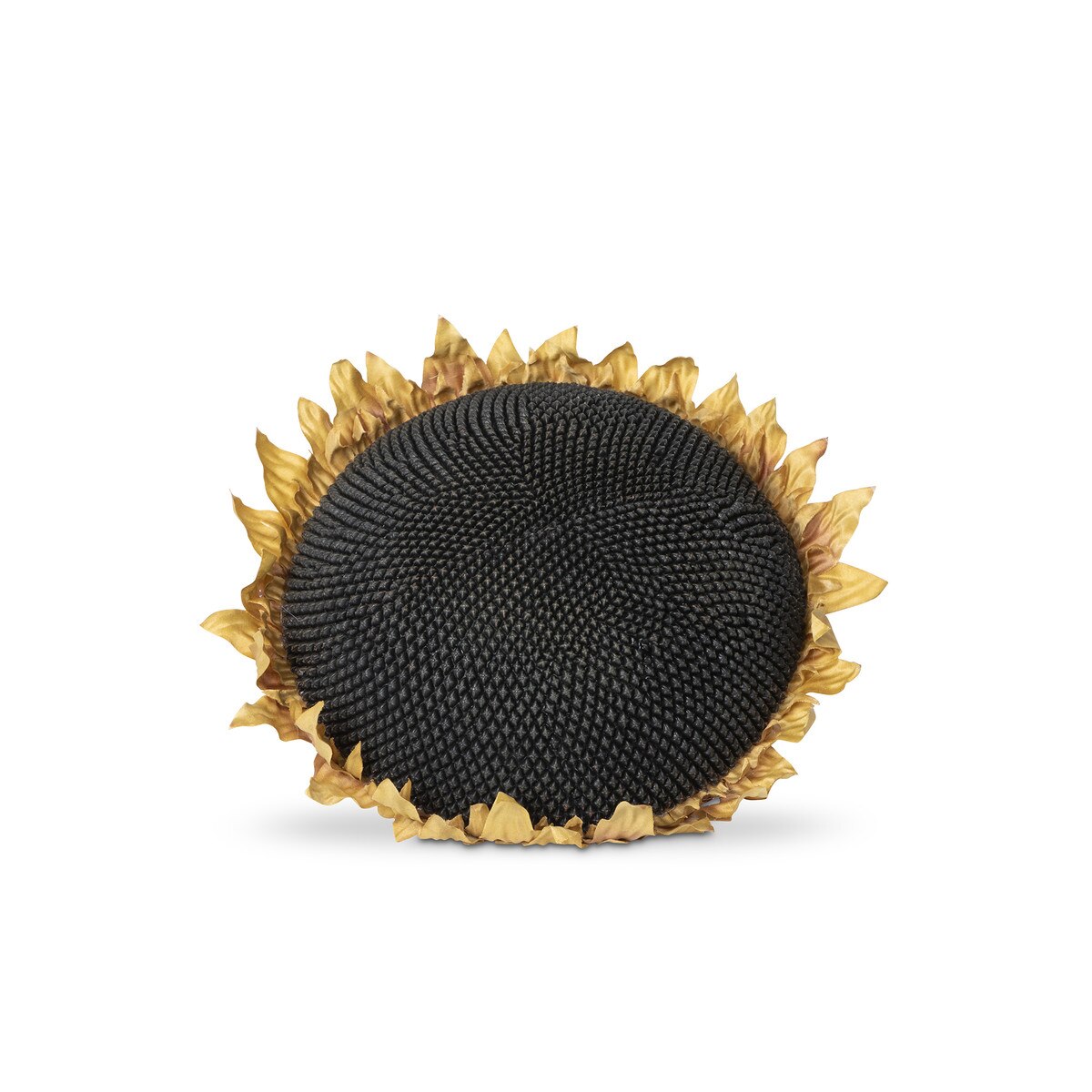 Sunflower Head style shot 2
