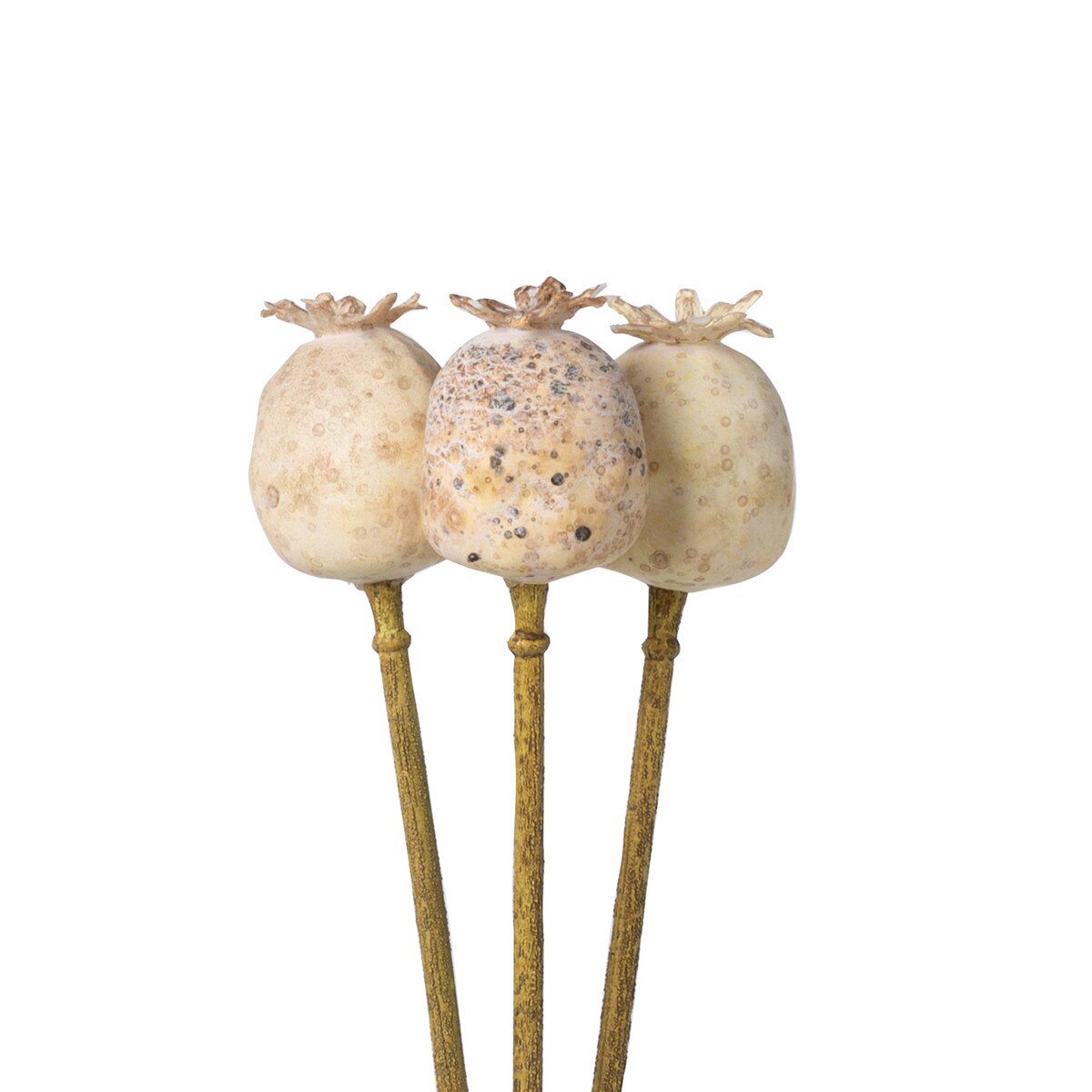 Poppy Pod Bundle style shot 1