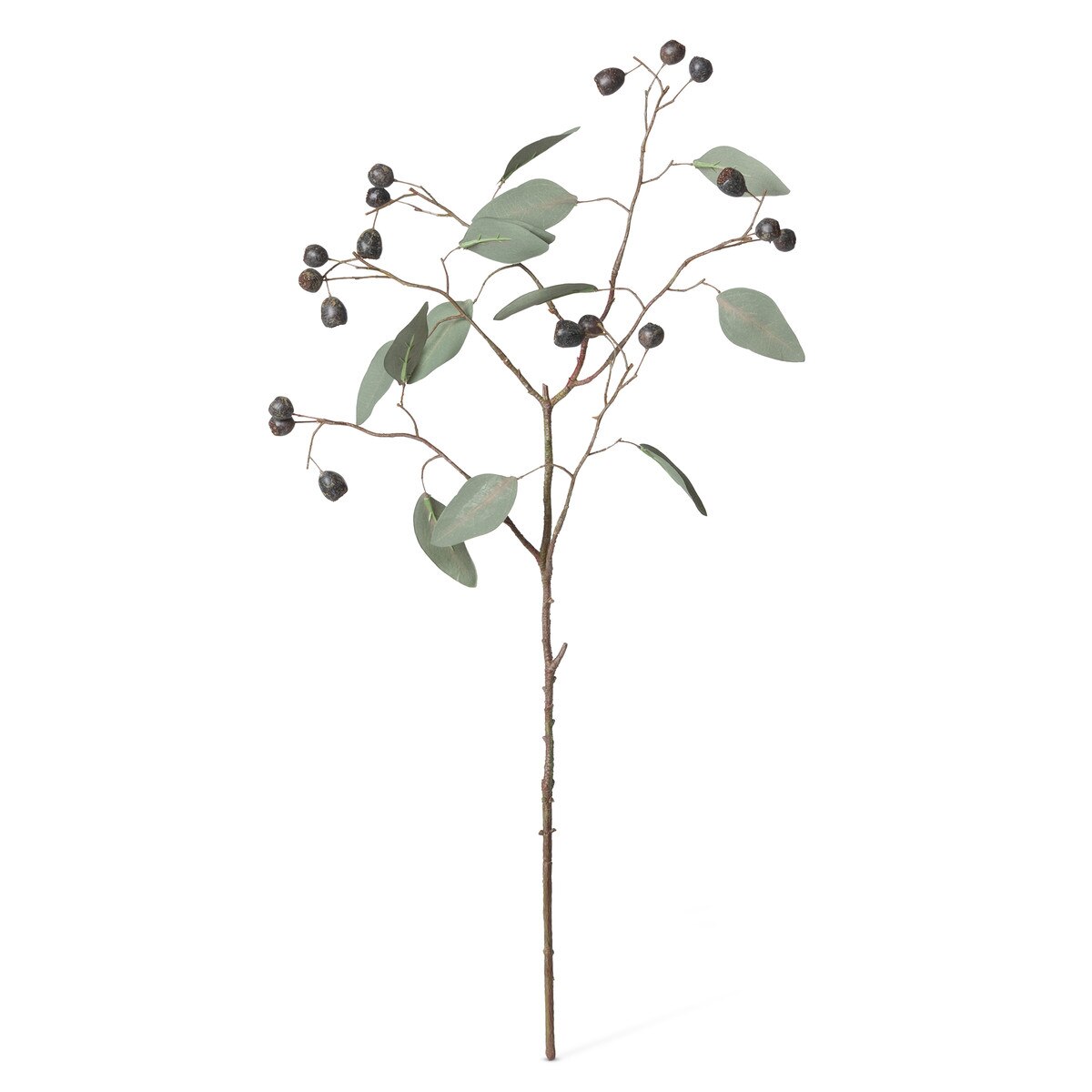Eucalyptus Spray with Berries style shot 1