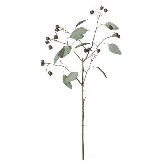 Eucalyptus Spray with Berries style shot 1