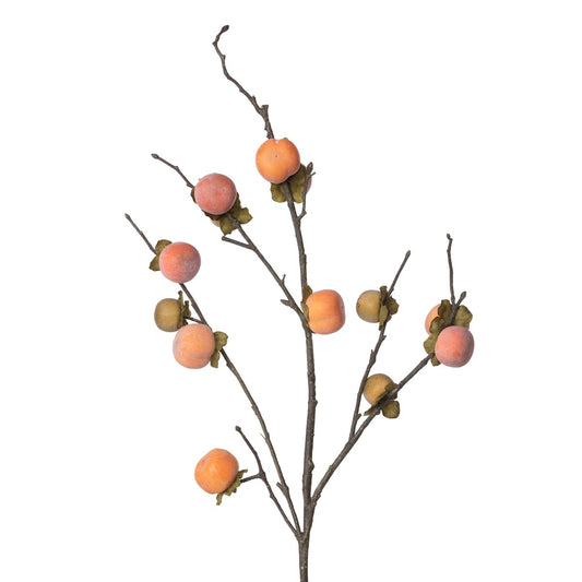Persimmon Branch style shot 1