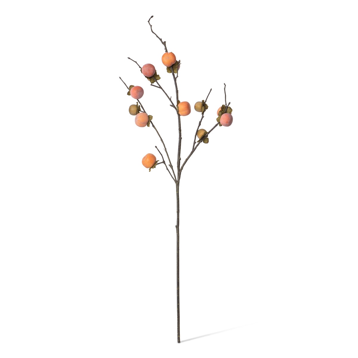 Persimmon Branch style shot 2