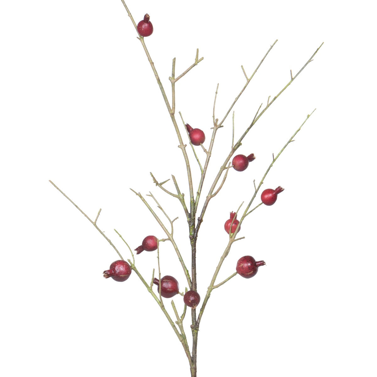 Pomegranate Branch style shot 2