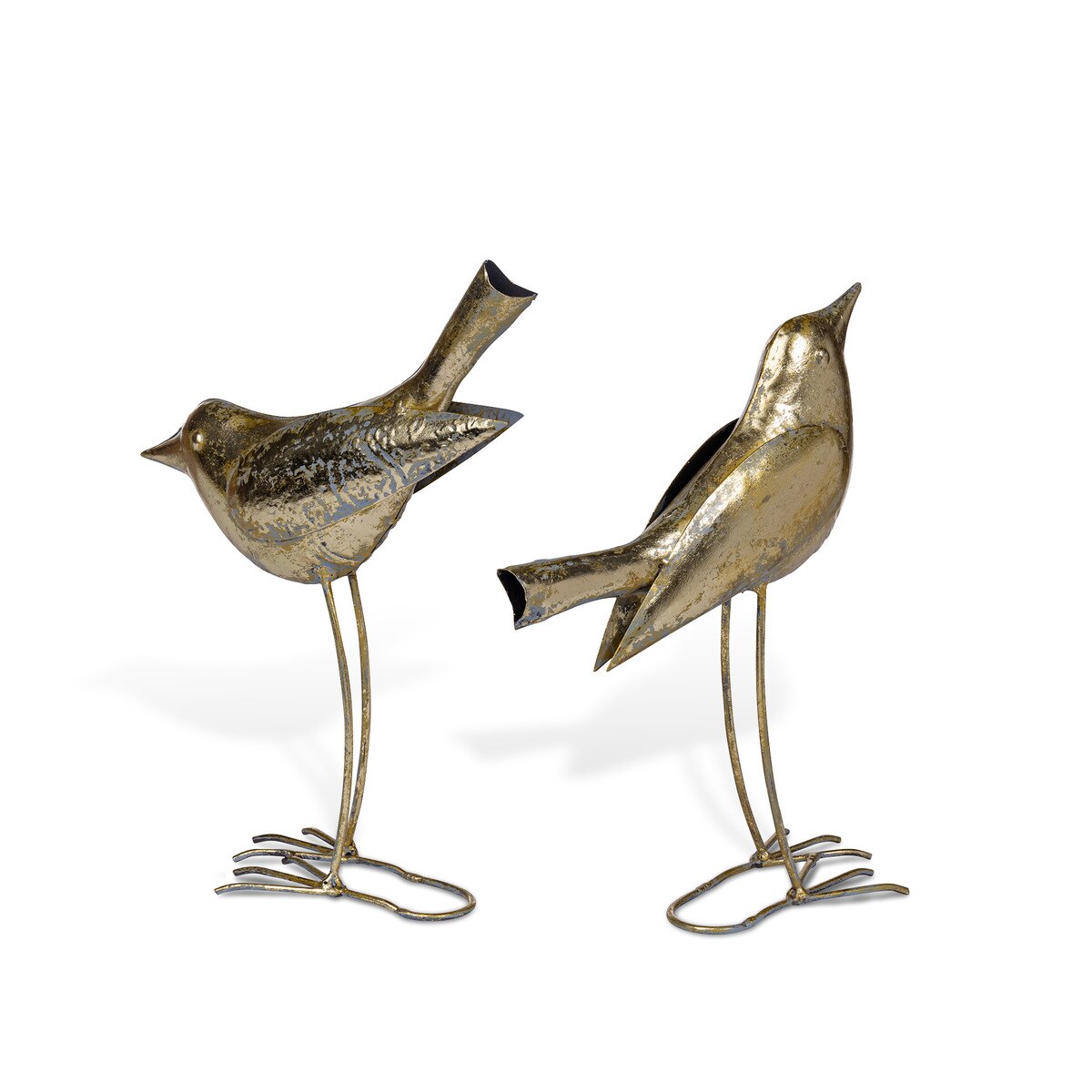 Sweet Sparrows, 2 Assorted Styles style shot 2