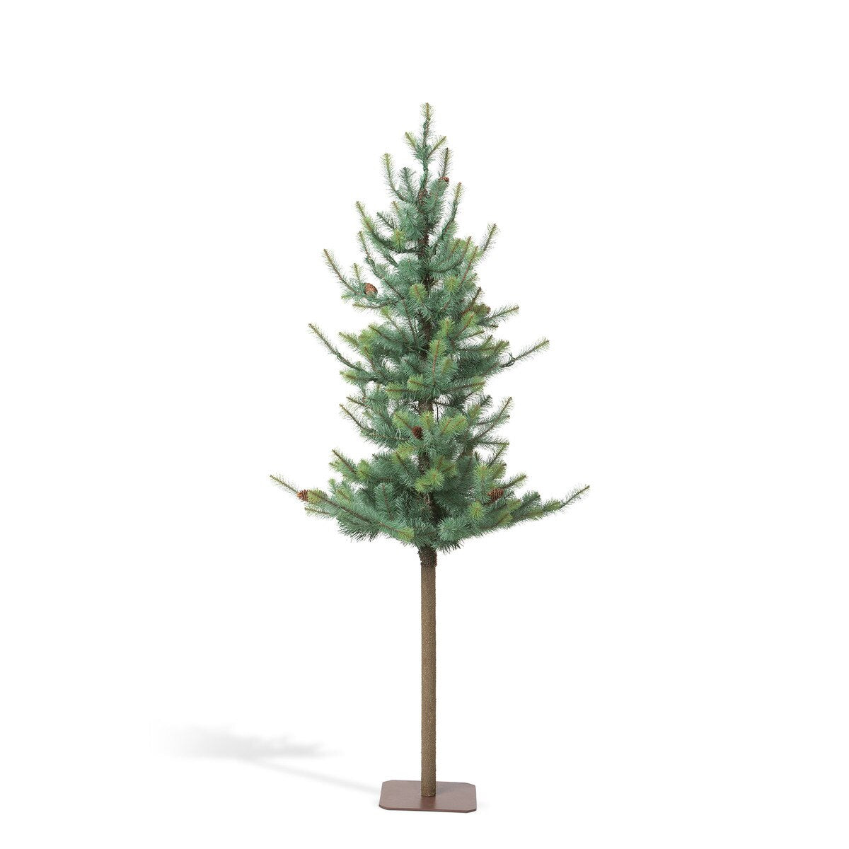 Blue Spruce Alpine Tree, 72" style shot 2