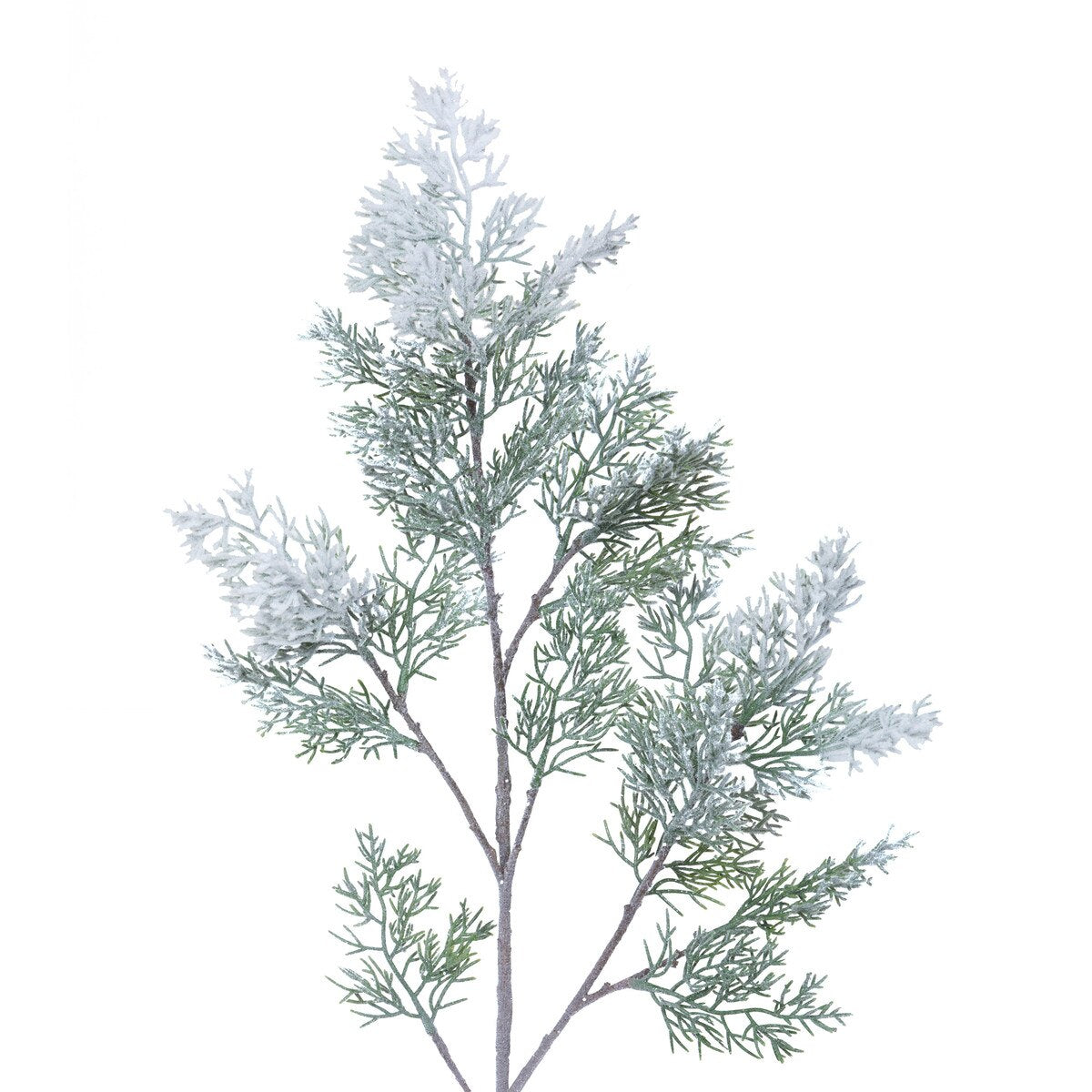 Frosted Cedar Spray style shot 2