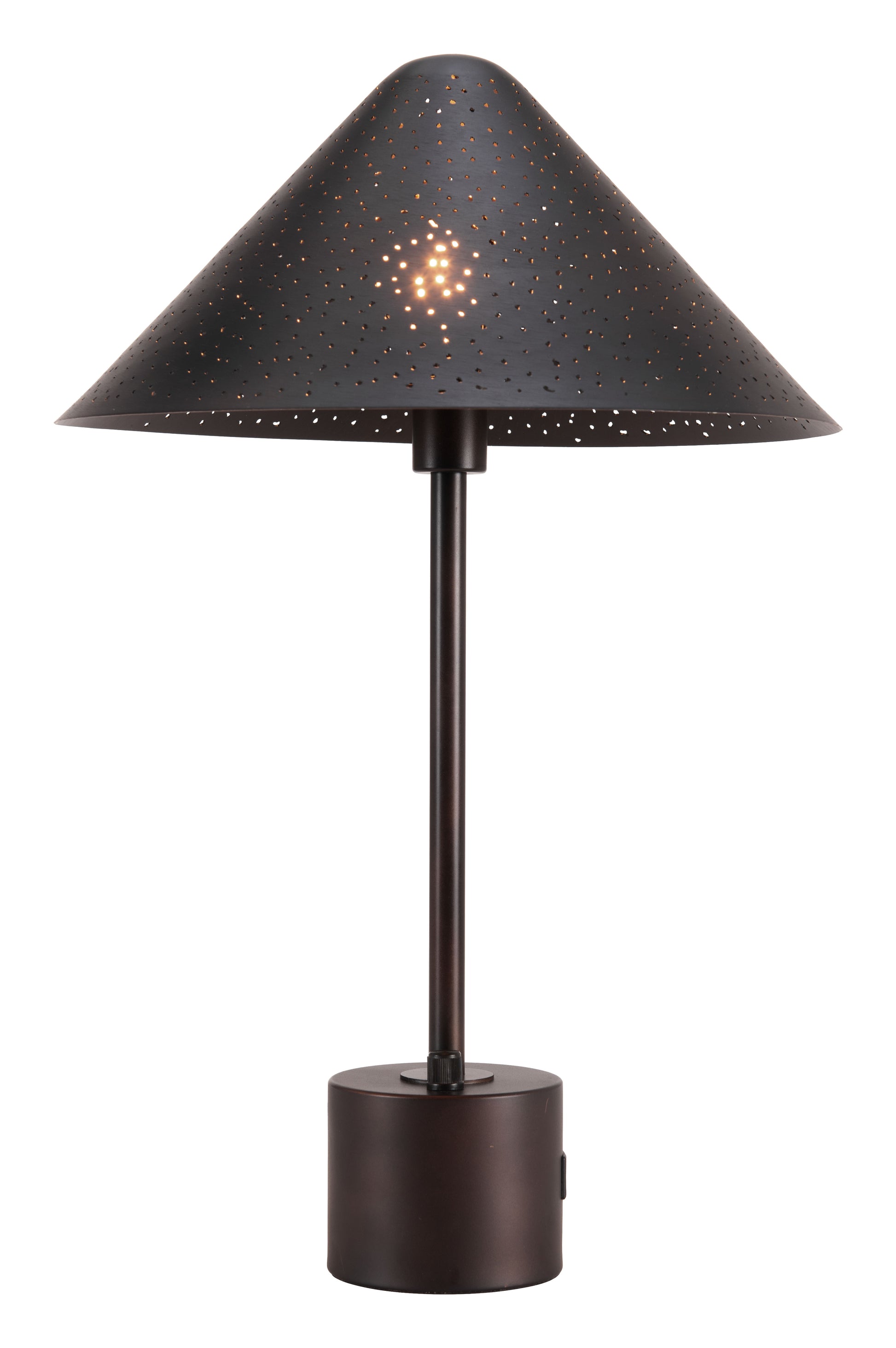 Cardo Table Lamp Bronze style shot 2